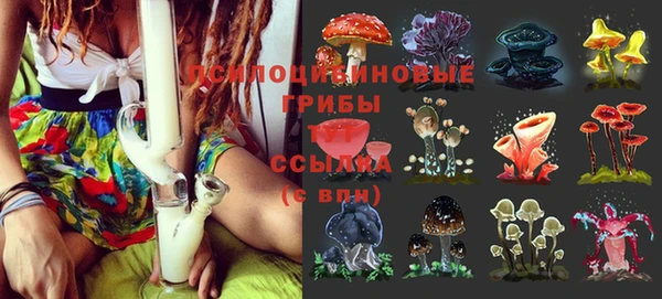 скорость Аркадак