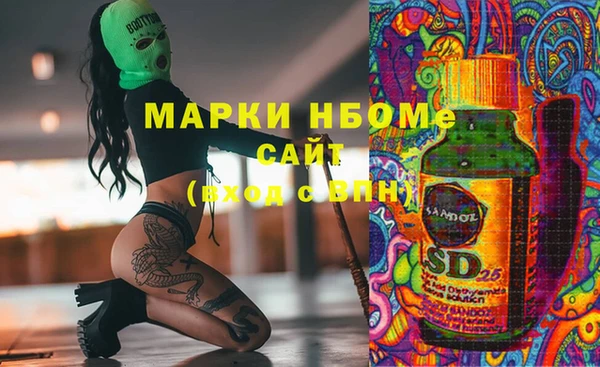 PSILOCYBIN Алзамай
